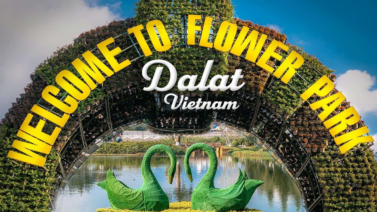 Experience the Dalat Flower Festival's vibrant cinematic spectacle, bursting with colorful blooms, lit-up streets, and festive city-wide energy.