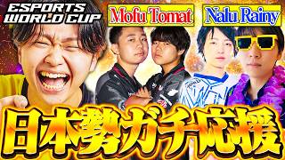 【世界大会】日本勢決勝進出なるか！EWCを観戦配信！！ 【フォートナイト/Fortnite】