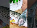 Scale Remover Fish Scaler Brush Click The Link In Description To Shop Online At Amazon