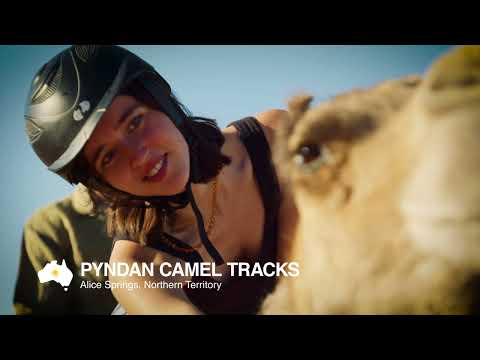 Pyndan Camel Tracks