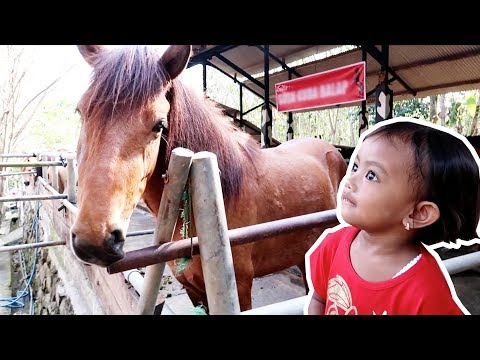Sebagai seorang gadis di telepon untuk memulai Man Mengapa seperti penis kecil