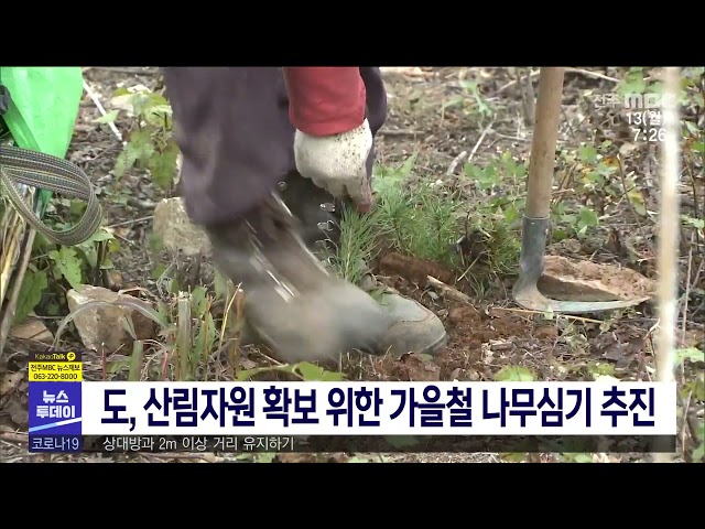 도, 산림자원 확보 위한 가을철 나무심기 추진