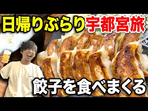 午後から半日で宇都宮旅行！歴史めぐり&amp;食べ歩きの旅！