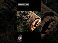 Godzilla X Kong The New Empire Hollywood In Hindi Godzilla Kong Wi