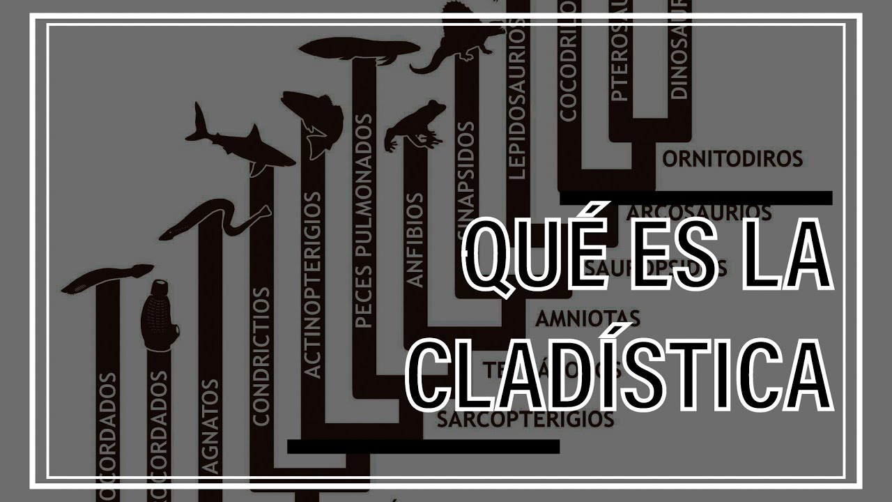 ¿Cuál es la diferencia entre cladística y taxonomía? Ask Library ES