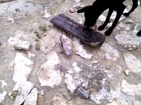 Neos Mission - Beautiful Day von Ryan Huston