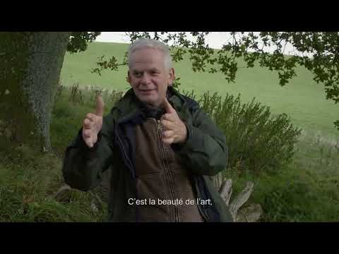 LEANING INTO THE WIND - ANDY GOLDSWORTHY / TËNK CANADA