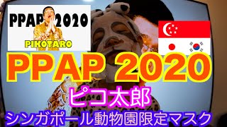 【シンガポール動物園限定フェイシャルマスク】ピコ太郎PPAP 2020を踊ってみた。Dacing PPAP2020 Pikotaro with Singapore Zoo's Facial Mask.