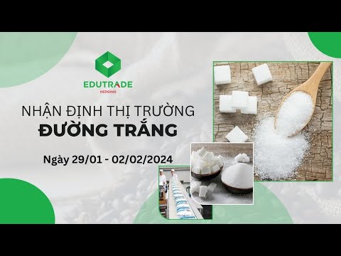 Nhận Định Thị Trường - Đường trắng (Ngày 29/01 - 02/02/2024)