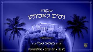 NISSIM: In Honor of Kuf Alef Kislev | כינוס סאטמאר - יובל השמונים - כ"א כסלו תשפ"ה