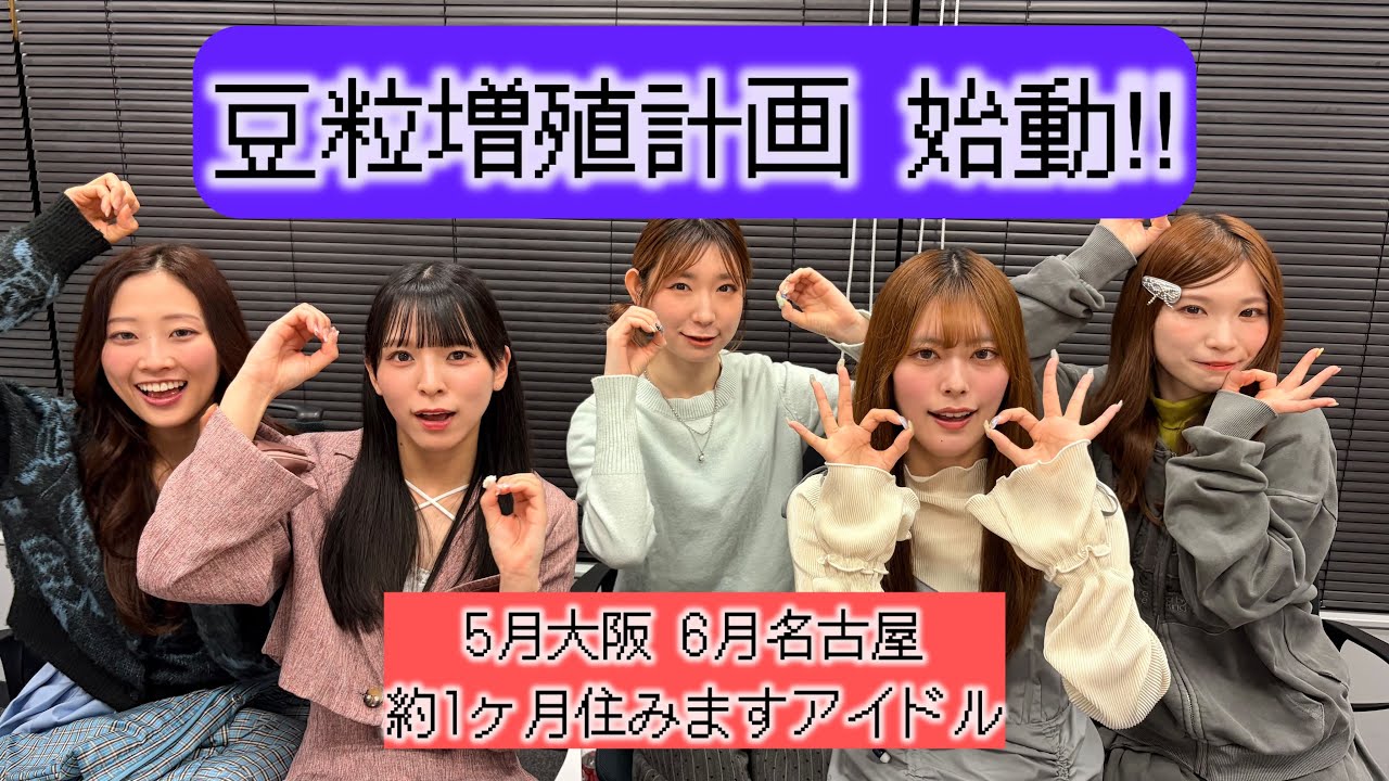 【重大発表】豆柴の大群5月大阪6月名古屋約1ヶ月住みますアイドル【20260401生配信】