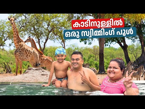 കാടിനുള്ളിൽ ഒരു സ്വിമ്മിംഗ് പൂൾ | Swimming with Wild Animals 😍 | Mara River Safari Lodge Stay