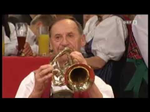 Pinzgauer Tanzlmusi   Stierbichl Polka