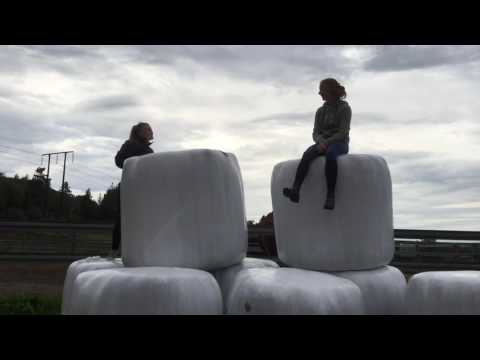 En norrländsk kärlekshistoria