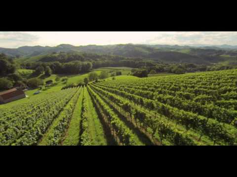 Terroir erleben - Weingut Skoff ORIGINAL, Südsteiermark