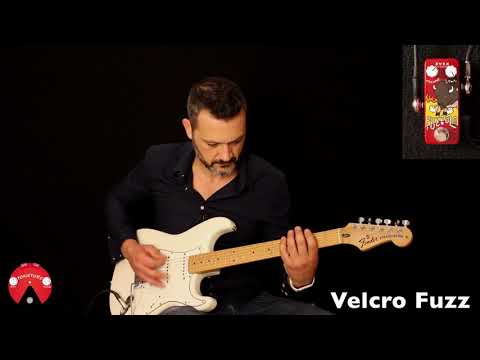 Zvex Fuzzolo - Fender Stratocaster