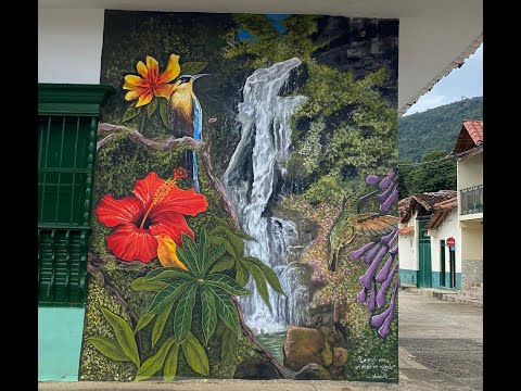 VIDEO OFICIAL FESTIVAL DE LA IDENTIDAD PALMAREÑA "Entre Ceibas, Camuros y Bolos", Palmar Santander