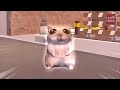 Damn Mommy I Just Wanna Hamster Meme Original Damn Mami I Just Wanna Meme