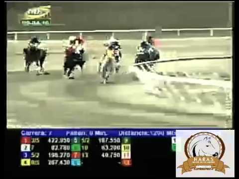 LA RINCONADA 7 CARRERA, SABADO 09 DE ABRIL DEL 2016