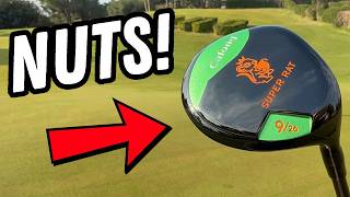 Best Selling $60 Temu Fairway Wood vs $400 Ping G440… (Budget Golf Build Ep.5)