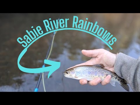 Fly Fishing The Sabie River South Africa! 
