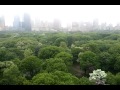 Spring in Central Park