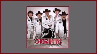 Perdoname     El Gigante De  America