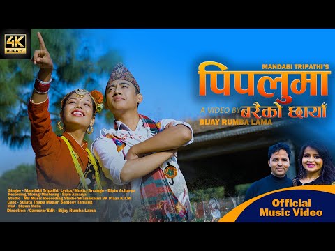 Pipaluma Barai Ko Chaya |Mandabi Tripathi |Sujata Thapa Magar |Sanjeev Tamang | New Nepali Song|2024