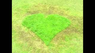 &quot;watashi &quot;  Trio Esperanca