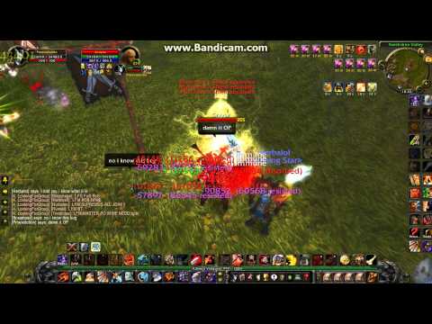 Eternal WoW Remorse lvl 255 Twink Pala