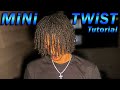 How To Do MINI TWIST