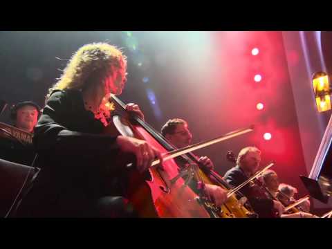 Symphony31 - commercial 2016