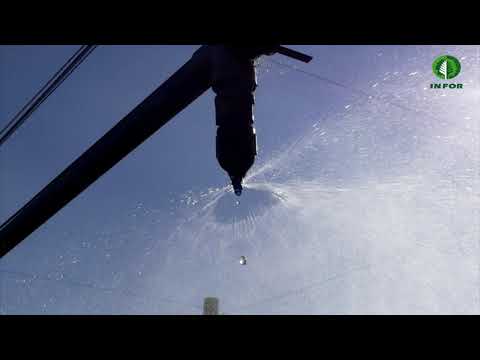 Tutorial para manejo eficiente del riego en viveros de plantas a raíz cubierta