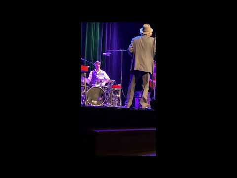 Stiller Has in italiano - Endo Anaconda singt auf italienisch #shorts #kurzclips #stillerhas #tak