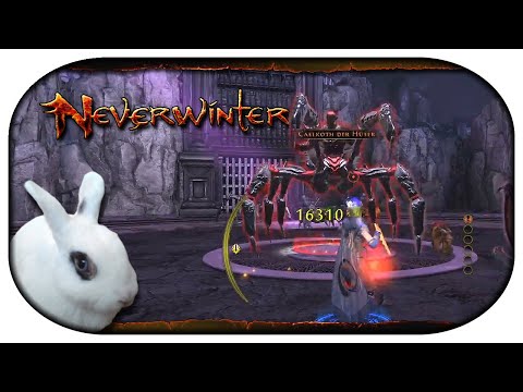 NEVERWINTER: Mod 24 🐇 05 - Aus dem Netz befreien [Northdark Reaches]