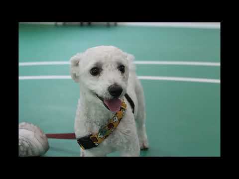 기본썸네일이미지