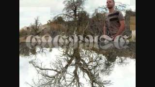 Dengue Fever - Sleepwalking Through The Mekong ((Morgan Page Remix))