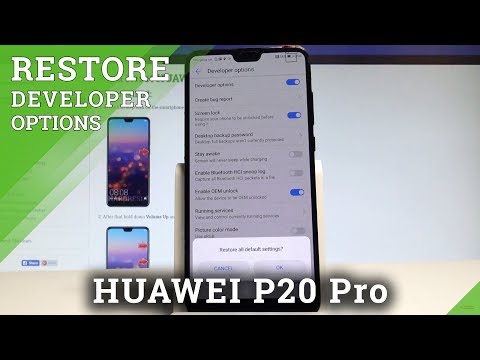 How to Restore Developer Options in HUAWEI P20 Pro - Reset Developer Settings |HardReset.Info