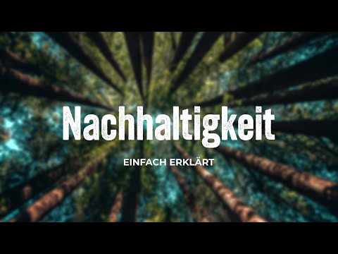 Nachhaltigkeit einfach erklärt – kurz & verständlich (2025)
