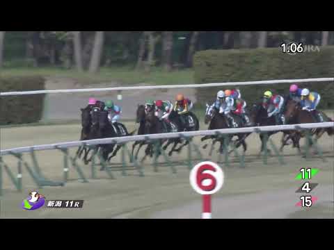 Fukushima Himba Stakes (G3) 2021 Winner: Dirndl