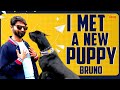 I Met a New Puppy - Bruno | Mr Makapa