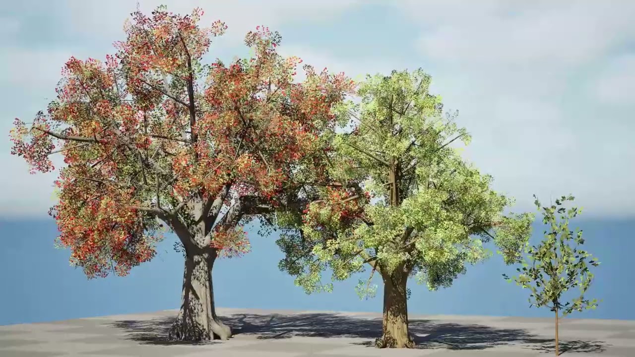 क्वार्कस ट्री पैक 3D मॉडल