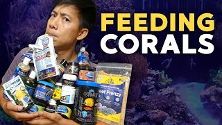 Feeding my Reef Tank 2018! Mystery Reef Box unboxing!!