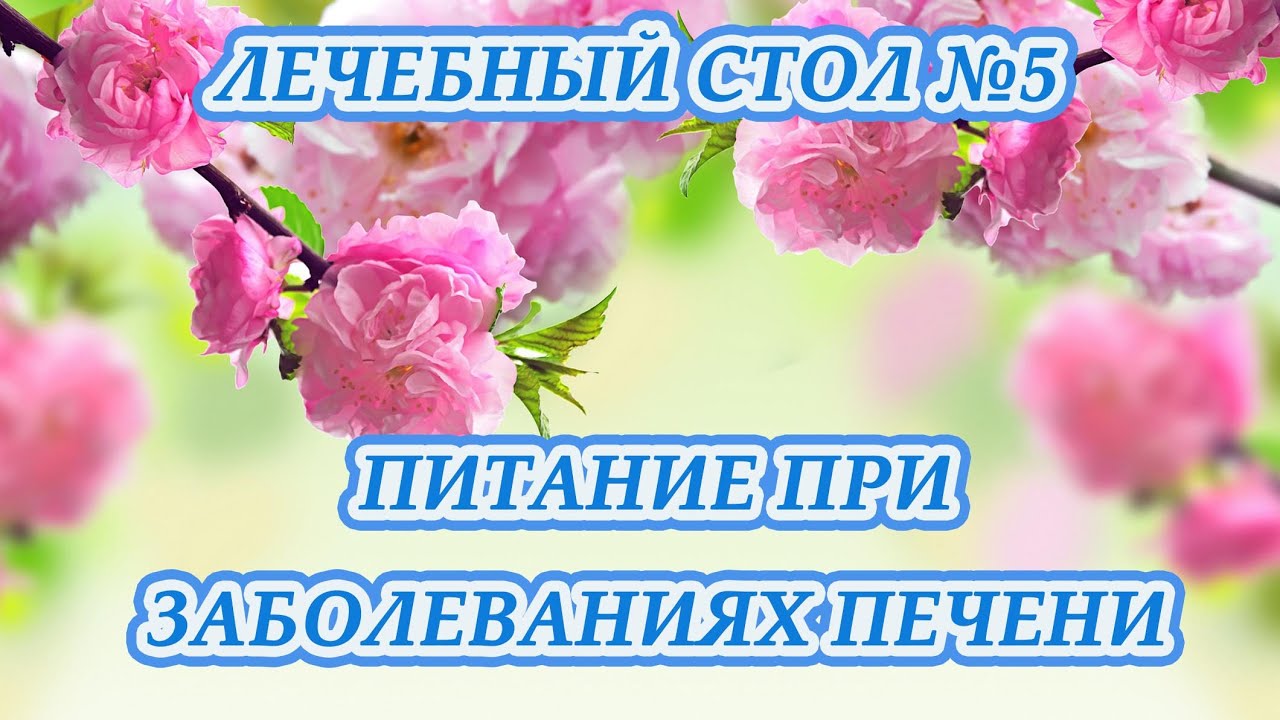Диета при заболевании печени. Питание при заболевании печени и поджелудочной железы по Певзнеру.