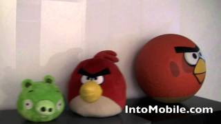 Download lagu Inside the Angry Birds nest - A tour of Rovio HQ mp3