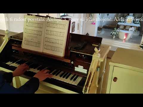 JKS 385 - Veseľ sa, nebies Kráľovná (celá pieseň)