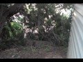 I Out Skunked A Skunk I Farted Then He RAN Old Video