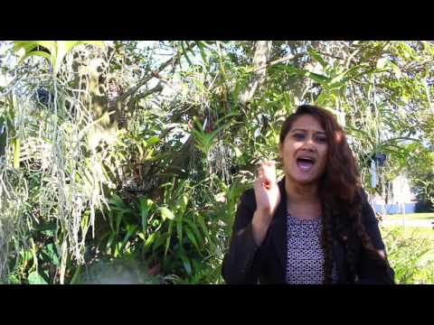 FUSARIUM WILT - DANGERS TO HUMANS, ANIMALS & PLANTS