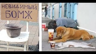 ЛЮТЫЕ попрошайки.НЕВИДИМЫЙ БОМЖ! Креативные идеи для попрошайничества!