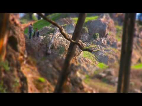 "Here. My Explosion..." Trailer I